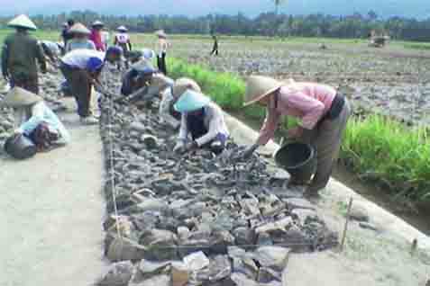  Sebelum Masuki Kemarau, Pemda Diminta Perbaiki Irigasi